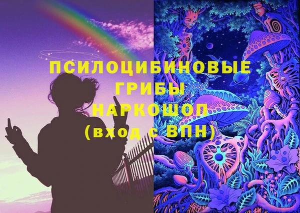 первитин Козельск