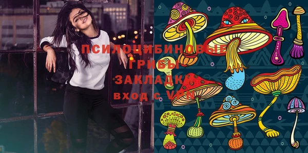 СК Кодинск