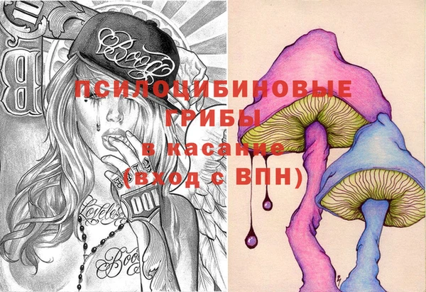 СК Кодинск