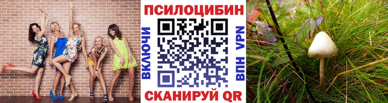 Галлюциногенные грибы Psilocybe  Купить  Покров 