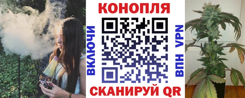 Купить закладки  Покров  Бошки Шишки Ganja 